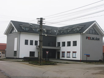 Pelikán